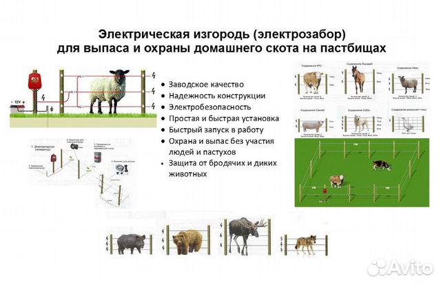 Электрозабор для скота Электрозабор для скота