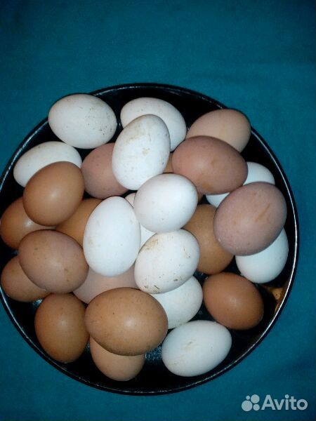 Яйцо деревенское, крупное купить на Зозу.ру - фотография № 2