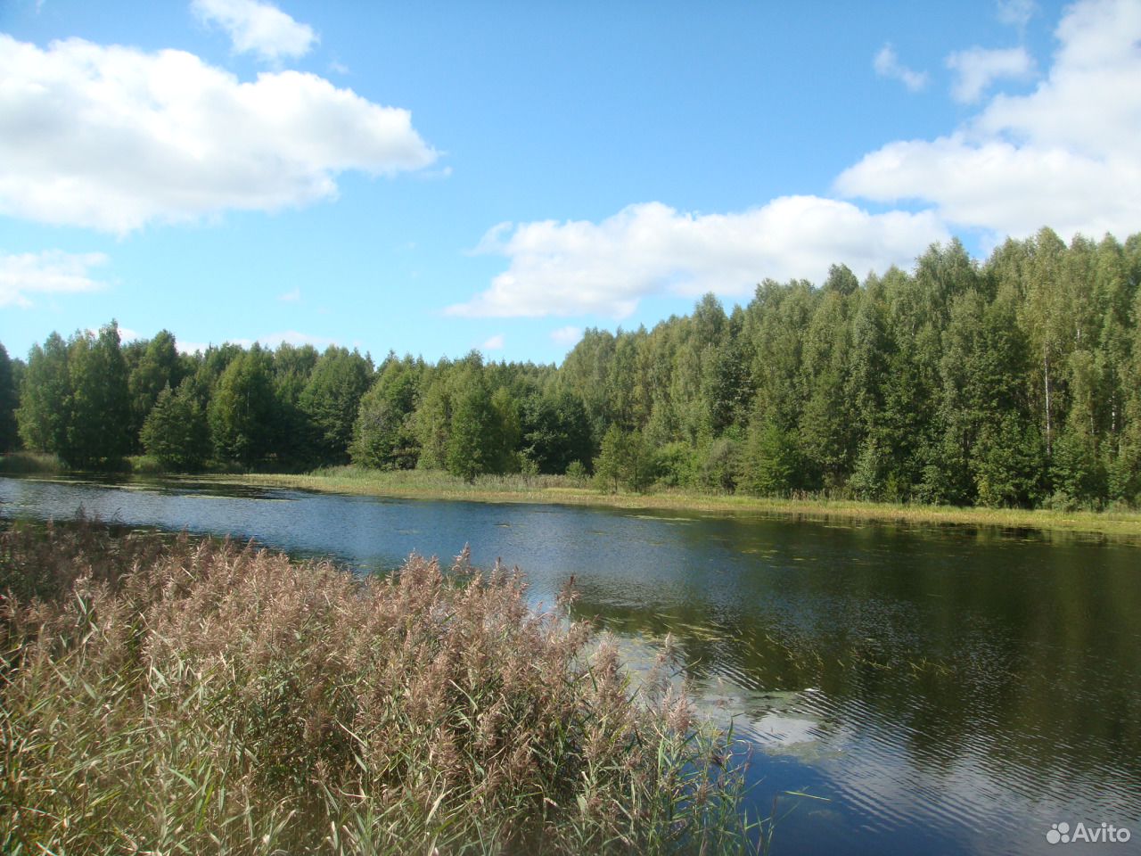 Авито Купить Земельный Участок Нижегородская Область