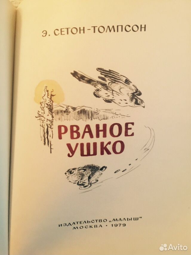 План рваное ушко