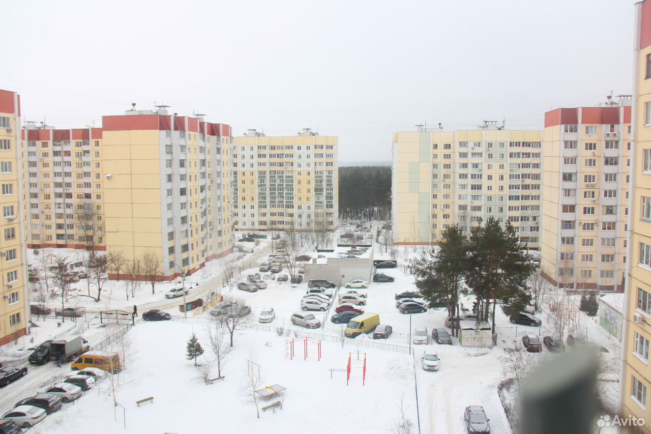 Фото владимира невского