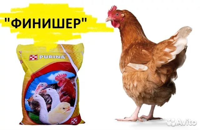 Корм Для Бройлеров Купить В Москве