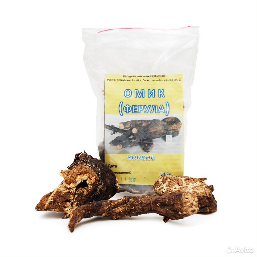 Омик ферула. Корень омика. Трава корень омик или ферула джунгарская в горном алтае. Где омик. Где омик.