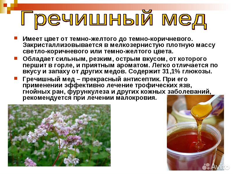 Мёд Гречишный купить на Зозу.ру - фотография № 2