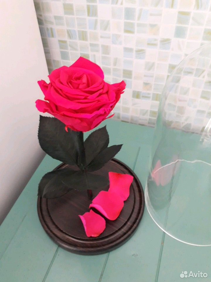 Роза к торжеству купить на Зозу.ру - фотография № 2