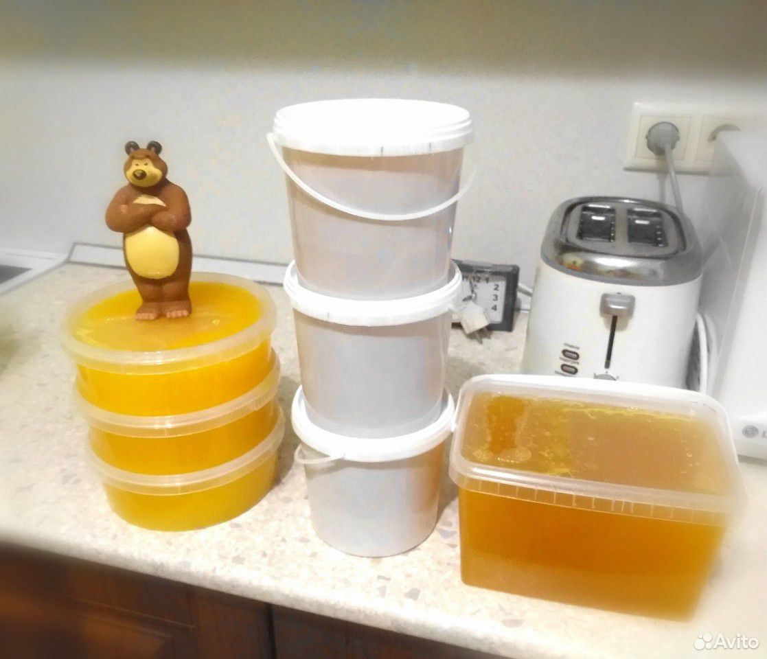 Натуральный мёд купить на Зозу.ру - фотография № 1
