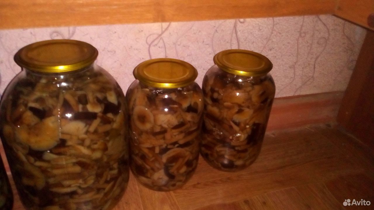 Маринованные грибы опята купить на Зозу.ру - фотография № 1