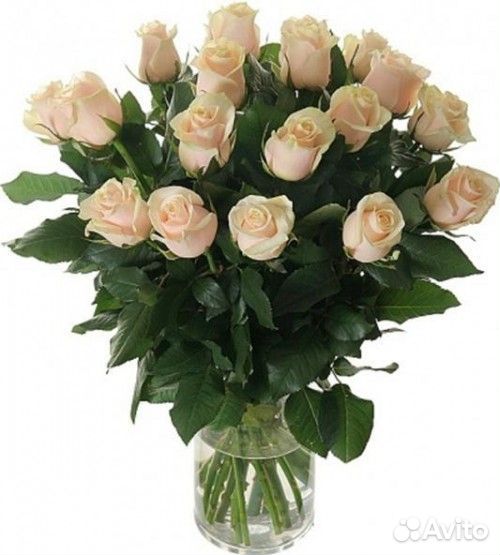 Букет из 19 кремовых роз купить на Зозу.ру - фотография № 1