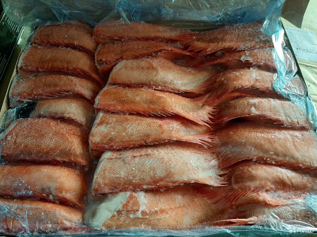 Свежемороженная рыба купить на Зозу.ру - фотография № 7