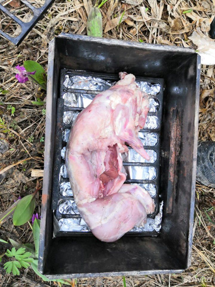 Продам мясо кроликов купить на Зозу.ру - фотография № 1