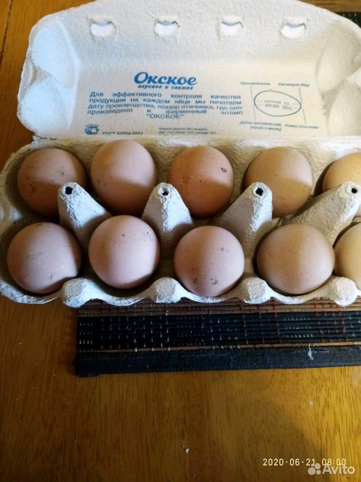 Яйцо цесарки купить на Зозу.ру - фотография № 2