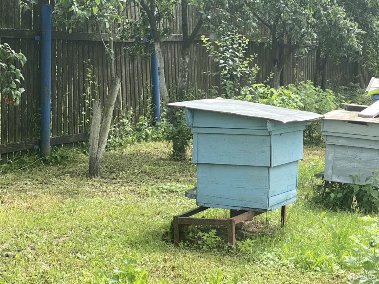 Пчёлы с ульями 12 и 7 рамок 3 Шт купить на Зозу.ру - фотография № 2