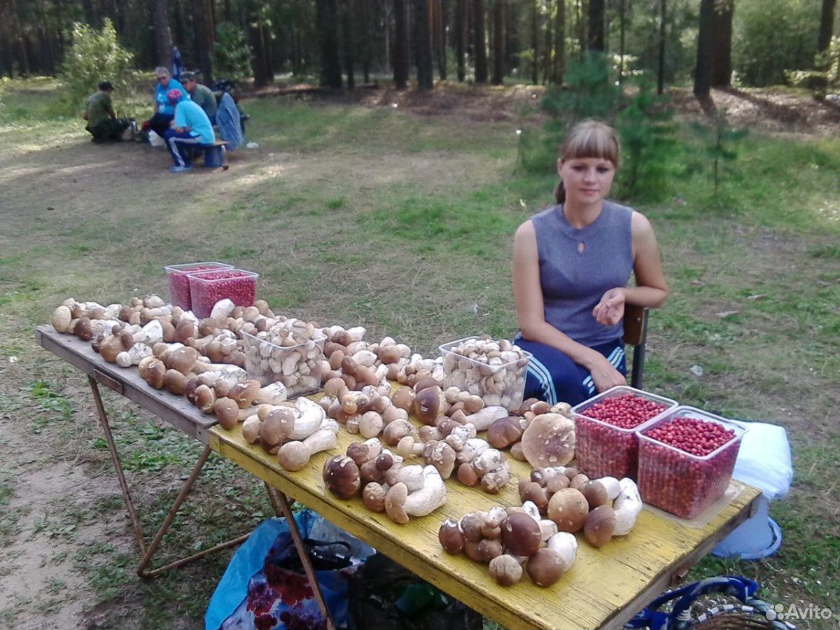 Лисички грибы купить на Зозу.ру - фотография № 2