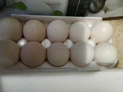 Яйца индейки для инкубации