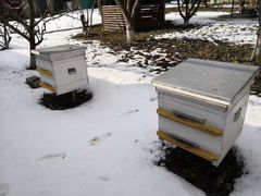 Ульи для пчел