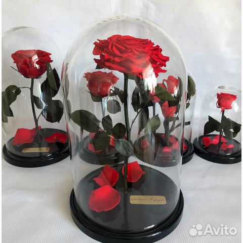 Роза в колбе