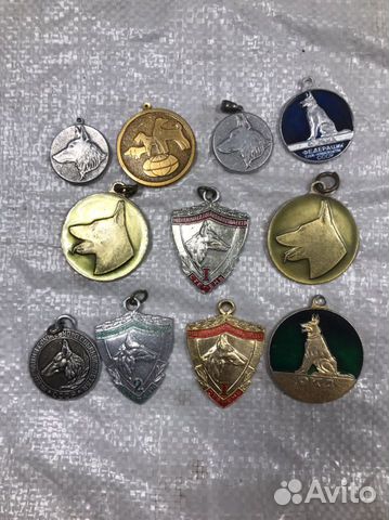 Житоны для собак