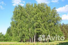 Участок 2.85 га (ИЖС) Участок 2.85 га (ИЖС)