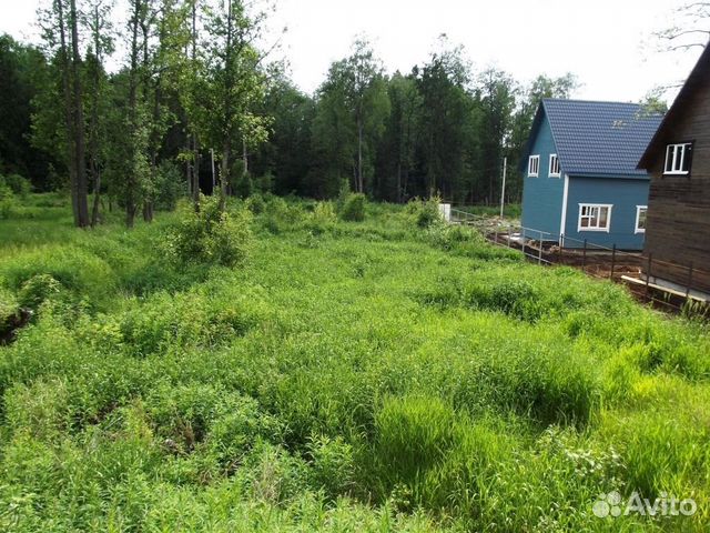 снт что это аренда земли или собственность забывай: наш