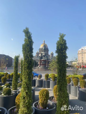 

Квартира-студия, 23 м², 2 кровати