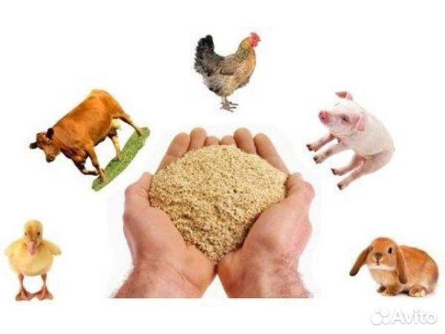 Продается корм для животных купить на Зозу.ру - фотография № 3