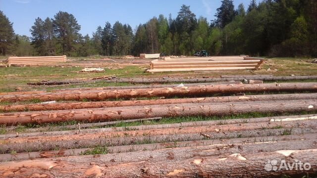 Сруб 4x5+ 2 с верандой из зимнего леса