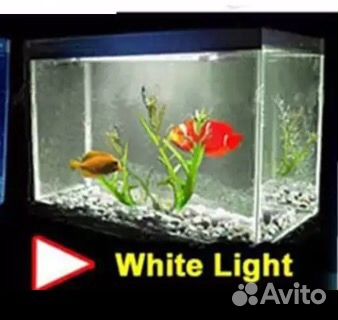 Лампа для аквариума. Возможна почта купить на Зозу.ру - фотография № 2