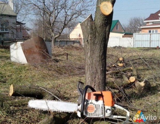 Спиливание деревьев,спил дерева в Воронеже и обл Спиливание деревьев,спил дерева в Воронеже и обл