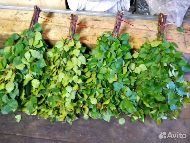 Веники березовые