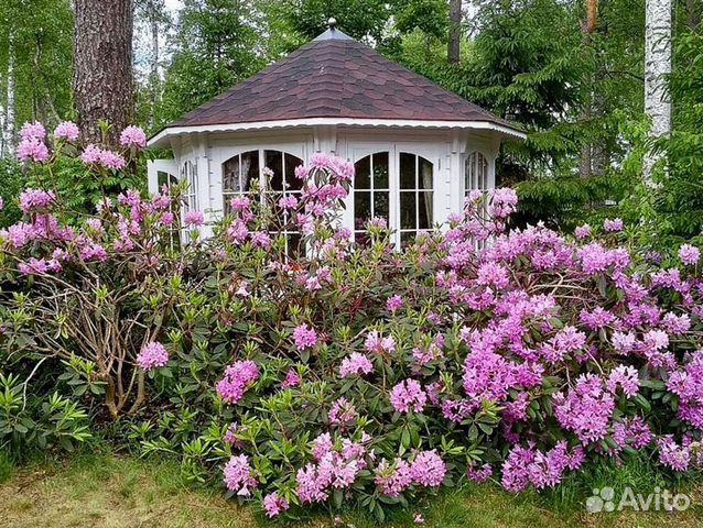 Коттедж 272 м² на участке 22 сот. Коттедж 272 м² на участке 22 сот.