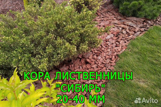 Кора Лиственницы Для Мульчирования Купить В Новосибирске
