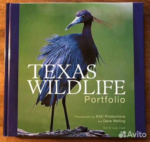 Фотоальбом Gary Clark 