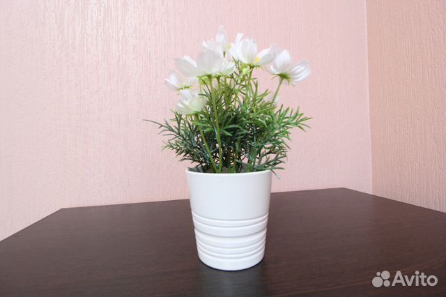 2-к квартира, 45 м², 4/24 эт. 2-к квартира, 45 м², 4/24 эт.