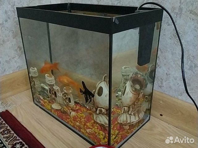 Аквариум с рыбками купить на Зозу.ру - фотография № 1