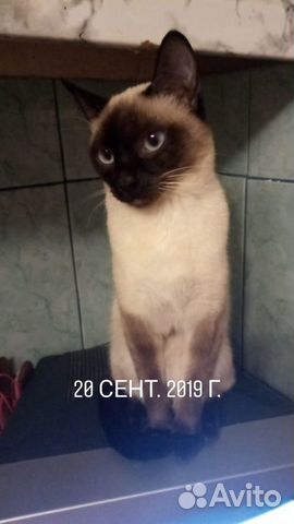 Вязка мы созрели