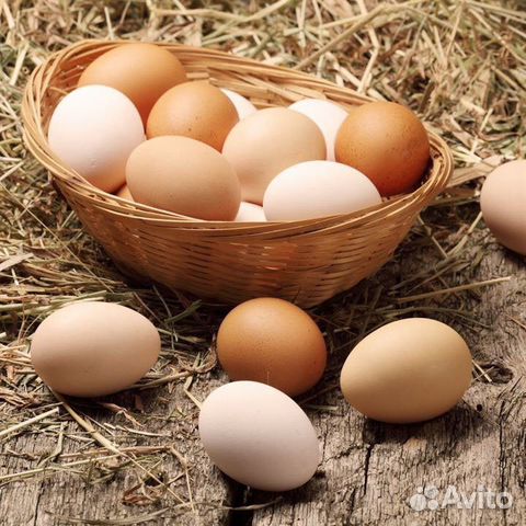 Продажа яиц купить на Зозу.ру - фотография № 1