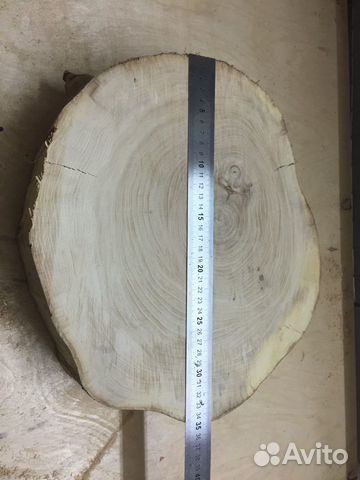 Круглый спил Липа