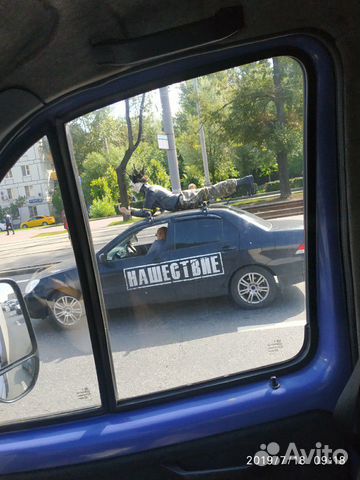 Грузоперевозки на Газели