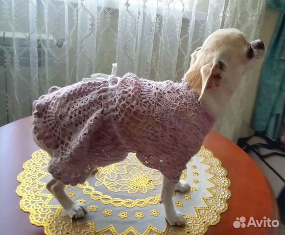 Вязаная одежда для собак и кошек