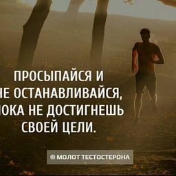 Пользователь