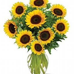 Картинка 9 подсолнухов для продажи квартиры