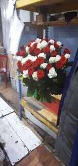 Хризантема