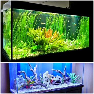 Аквариумы, терариумы, черепашники Ставрополь