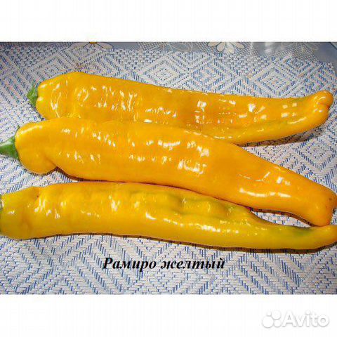 Семена коллекционных перцев