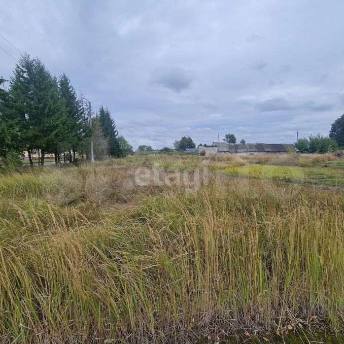 Зубовка клинцы. Участки ижс брянск. Купить землю в брянск советский район. Участки ижс брянск. Стаево деревня брянск.