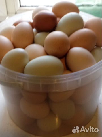 Яйцо домашнее с доставкой