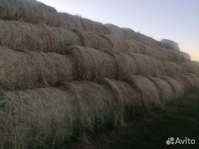 Сено луговое в рулонах