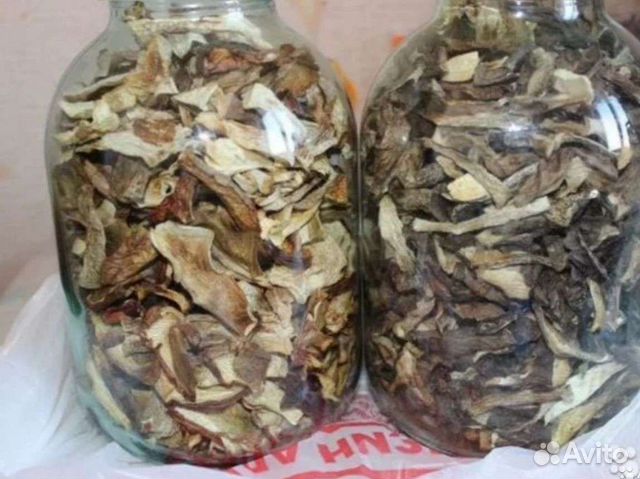 Грибы сушёные