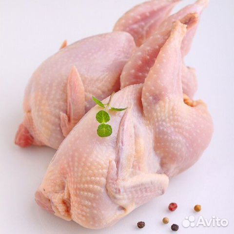 Мясо перепела