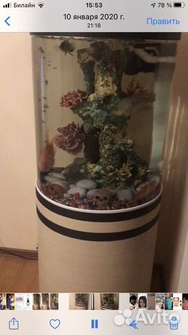 Аквариум торг